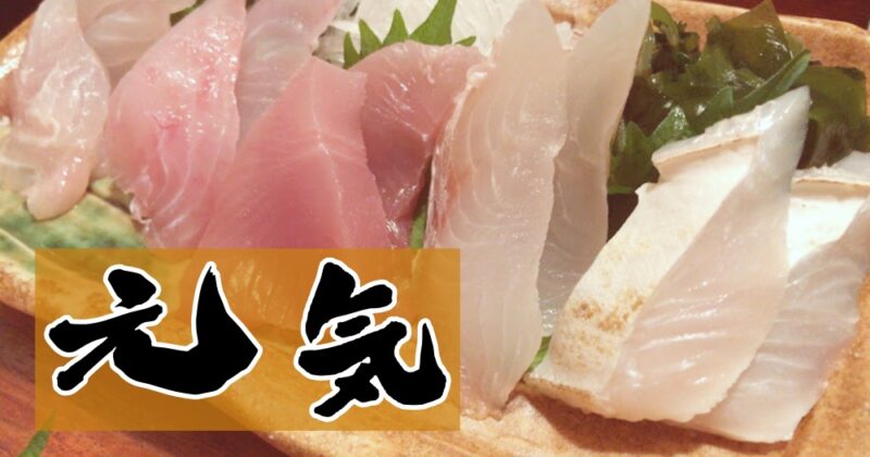 【伊東・居酒屋『元気』】赤ハタ～青ダイ！鮮魚でお造り盛り合わせ♪〈ちゅんころもちレポート〉